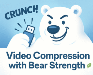 FatBear Video Compressor | Polar Dynamix FatBear Offline Video Compressor software – fast, simple, and private tool to compress large video files without cloud uploads.